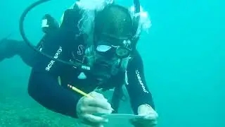 Reef Survey using Reef Check Method #travel #reeflife #nature #beach #conservationefforts #fishing