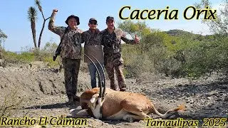 &iexcl;CAZANDO ORIX EN TAMAULIPAS Por Primera Vez!