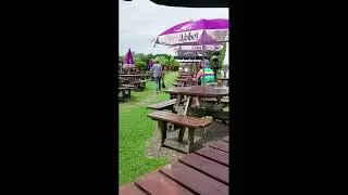 Tasty Food and Views at Blue Lias #short