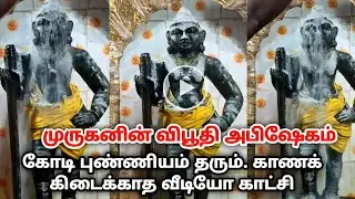 பழனி விபூதி அபிஷேகம் ! 1 முறை பார்த்தால் கோடி புண்ணியம் ! நினைத்தது நிறைவேறும்! #பழனி #pazhani 2025