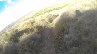 DownHill Molos track paros