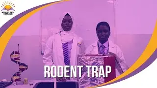 Rat Trap
