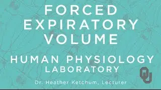 Forced Expiratory Volume for GTAs | Human Physiology | Dr. Ketchum