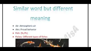 Similar words but different meaning. / air and airs/ wood and woods/ iron and irons etc