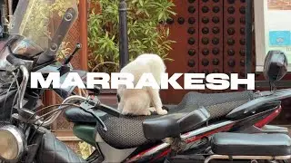 VLOG MOROCCO 2. MARRAKESH 