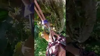 How I get my rope back down
