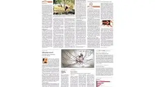 11 september 2017 The Hindu