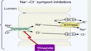 Pharmacotherapy in Vertigo - Dr Ashwini Shenoy