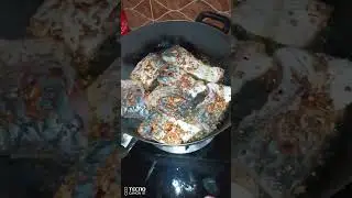 Trout Fish | Fish part 3