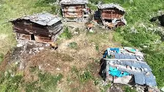 Libler Gölü / Pişhankara Yaylası- Karagöl / Amanesket Yaylası / Altıparmak / Yusufeli  05-07.2024