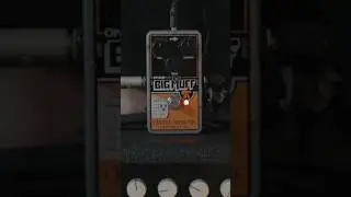 Is the big muff the greatest fuzz pedal ever? #shorts
