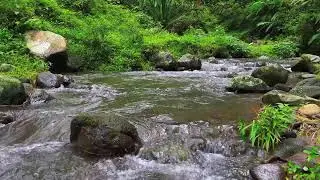 Serene River ASMR &ndash; 10 Hours of Relaxing Water for Focus & Stress Relief
