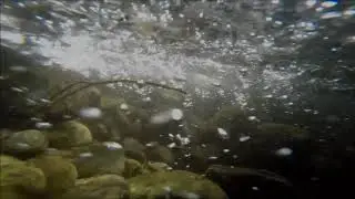 24-5-2020 diarizos river at kelefos short video