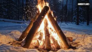❄️ Winter Campfire in the Forest | Relaxing Fire Sounds 🔥 Karda Kamp Ateşi 🔥