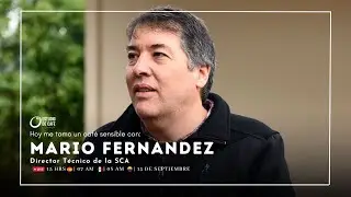 Un #cafesensible con Mario Fernández, Director Técnico de la Specialty Coffee Association (SCA)