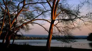 Ezemvelo KZN Wildlife Live Stream