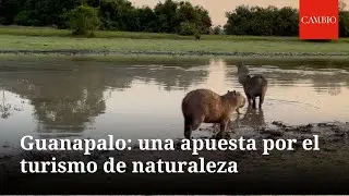 El encanto de Guanapalo: una apuesta por el turismo de naturaleza