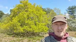 A walk in nature @rspb Sandy Lodge
