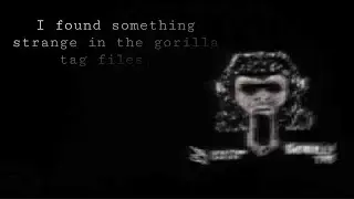 Bootup Error - Gorilla Tag Scary Loading Screen's Analysis