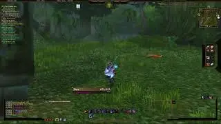 World of Warcraft Classic: Nethergarde