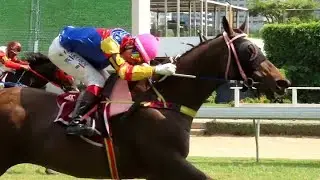 MAH KAO CHAROEN - 17/01/2026 - Race 1 - Thoroughbred Class 4B