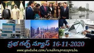 Kuwait telugu News Today || Gulf telugu News channel ||Daily Gulf News ||andhra presspraba