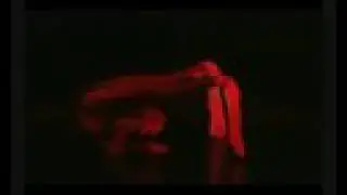 Rae Piper - Speciality Acrobatics