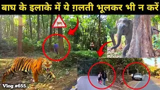 Elephant | Indian Black Ibis | Jim Corbett National Park | Wild Jungle Drive