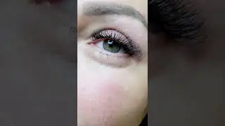 4d Lashes