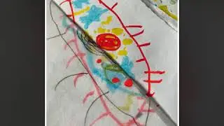 Dans les yeux de Turlututu, video by @elena.icalzinispaiati
