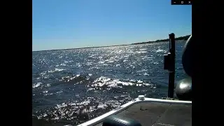 episode2020 - 16 Bob Roberts fishes LFA tournament on Lake Fork 6/25/20