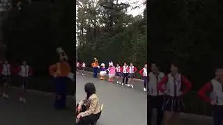 Tokyo Trip*Mini Parade Tokyo Disneyland Dec 2019