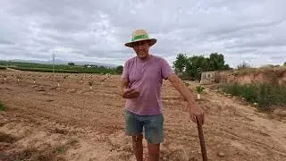 We sow broad beans and plant spring garlic. EASY CROPS