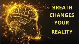 Breath Observation &ndash; From Stress to Inner Peace