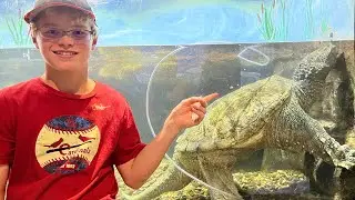 World&rsquo;s Largest Common Snapping Turtle!!!
