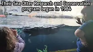 Cat's Mega America Trip - Day 35 - California - Monterey 