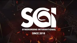 SGI Company profile