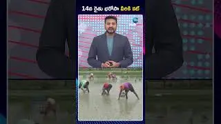 CM Revanth | Telangana GOVT Announce Rythu Barosa Date | 14న రైతు భరోసా వీరికి కట్ | ZEE Telugu News