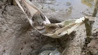 Wow, a man found a long-legged frog, wearing a bra and a mask, it's amazing.