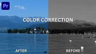 Color Grading Transition