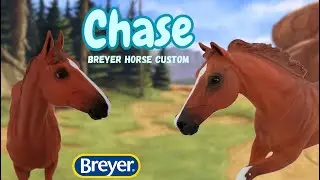 CHASE - BREYER HORSE CUSTOMS (Cigar & Emerson Breyer Traditional Molds)