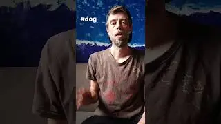 #dog #asl #american #sign #language #tutorial #learn #how #to #lesson #beginner