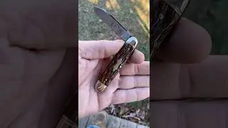 Amazing Roger&rsquo;s Bone Remington UMC R3443 Cigar Jack # #knifecollector #remington #knifebrotherhood