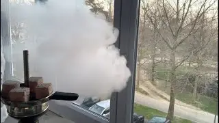 Chicha Grosse Fum&eacute;e Brohood !!!