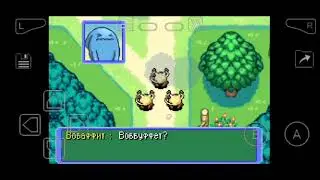 Прохождение Pok&eacute;mon Mystery Dungeon Red Rescue team часть 11-встреча с Рейквазой(ФИНАЛ)