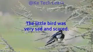 English Listening Stories   The little bird and The Big Tree