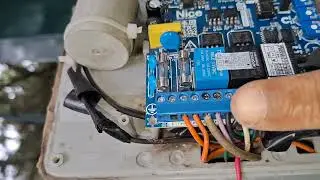 Placa peccinin disprogramando