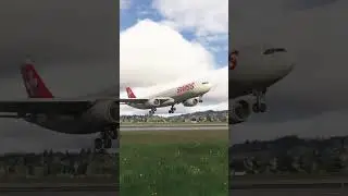 MSFS 2024 - Swiss A330 landing in Zurich