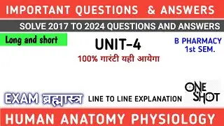 HAP Unit 4 Important questions and solutions | One shot video | B pharmacy 1st semester