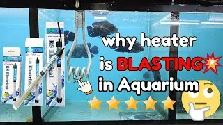 Best Aquarium Heater for Winter 2024 | Keep Your Fish Warm and Healthy! | #machlighr Abhishek Sharma